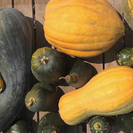 La Plantacion _agroturismo לה אורוטבה