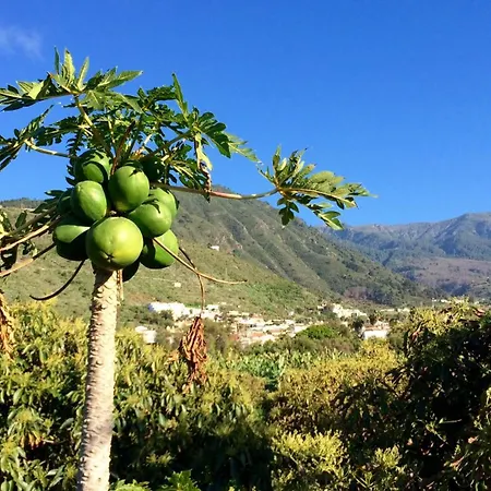 La Plantacion _agroturismo *