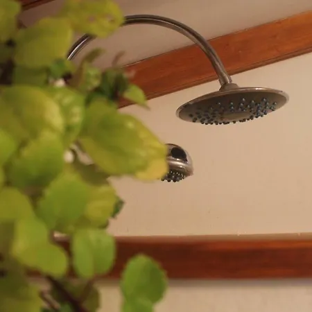 La Plantacion _agroturismo *