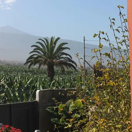 La Plantacion _agroturismo