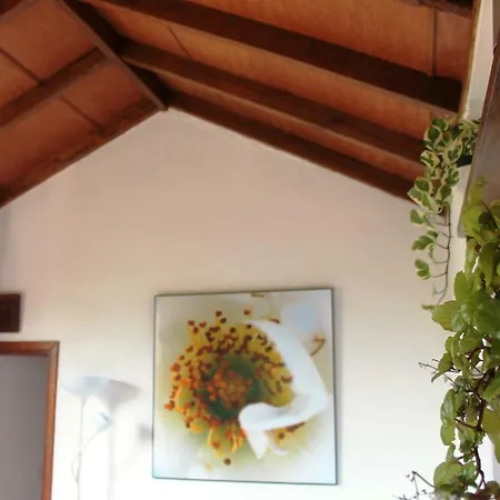 La Plantacion _agroturismo * לה אורוטבה